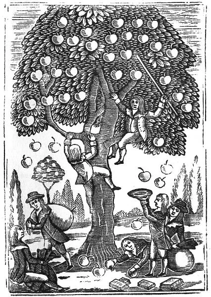 Boys picking apples, c. 1800
