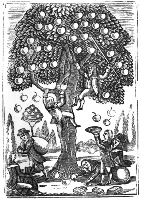 Framed Print : Boys picking apples, c. 1800 Framed Print : Boys picking apples, c. 1800
