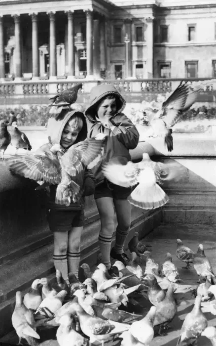Framed Print : Two boys with pigeons, Trafalgar Square, London Framed Print : Two boys with pigeons, Trafalgar Square, London
