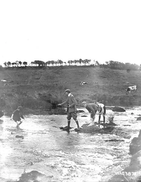 Boys playing in the shallows of the River Bush