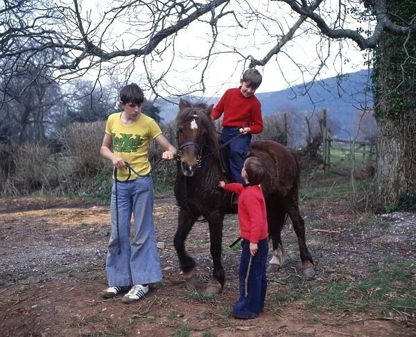 Three boys with a pony, Exmoor