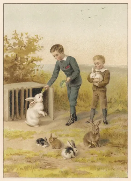 Framed Print : Boys and Rabbits 1889 Framed Print : Boys and Rabbits 1889