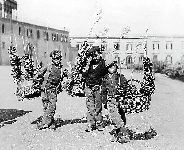 Boys selling bread, Palermo, Sicily, Italy, early 1900s