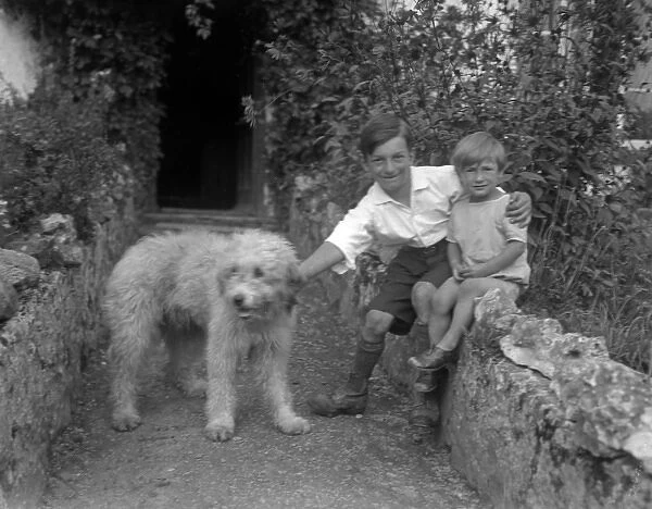 Two boys and a shaggy dog