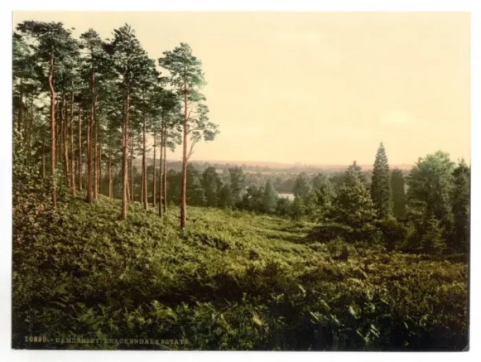Framed Print : Brackendale, Estade, Camberley, England Framed Print : Brackendale, Estade, Camberley, England