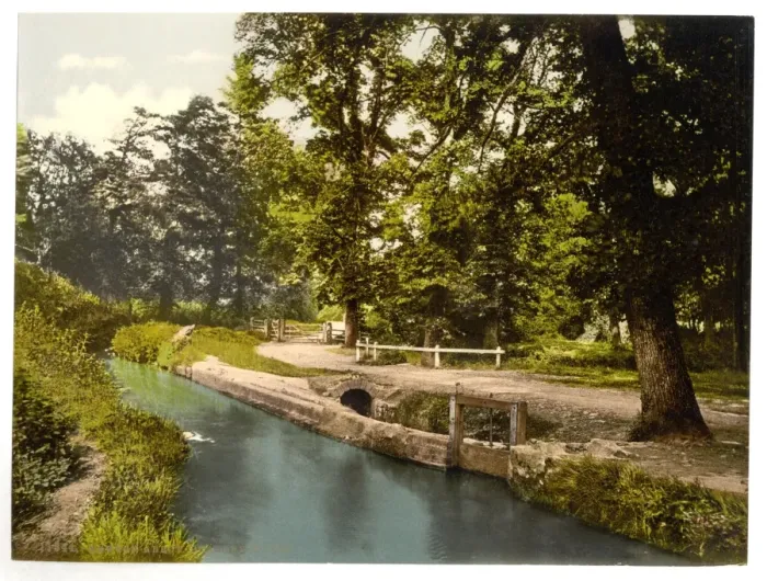 Framed Print : Bradley Woods, Newton Abbott, England Framed Print : Bradley Woods, Newton Abbott, England