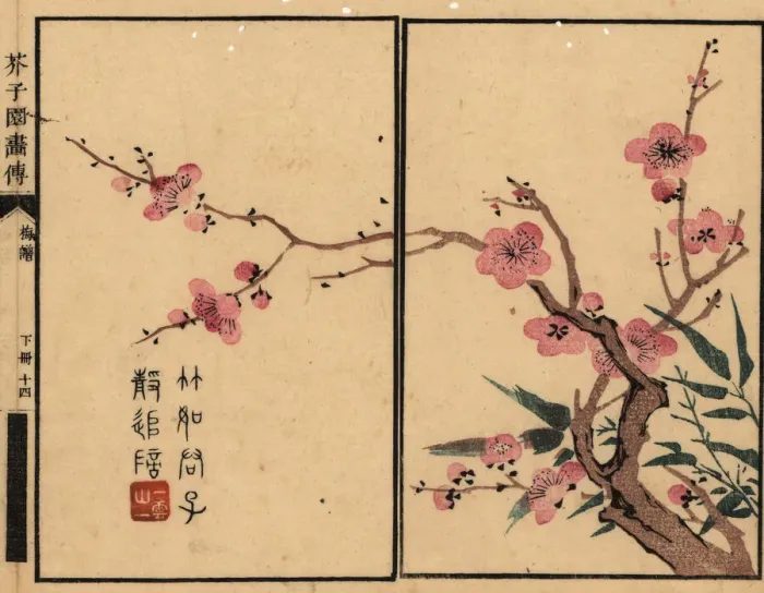 Framed Print : Branch of pink plum blossom with calligraphy and seal Framed Print : Branch of pink plum blossom with calligraphy and seal