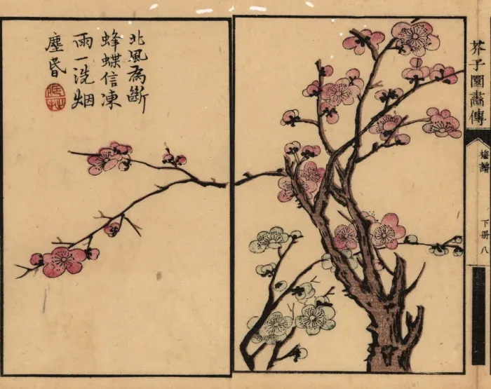 Framed Print : Branch of pink plum blossom with calligraphy and seal Framed Print : Branch of pink plum blossom with calligraphy and seal