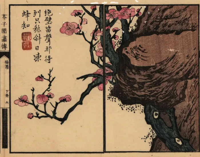 Framed Print : Branch of pink plum blossom on a rock with calligraphy Framed Print : Branch of pink plum blossom on a rock with calligraphy