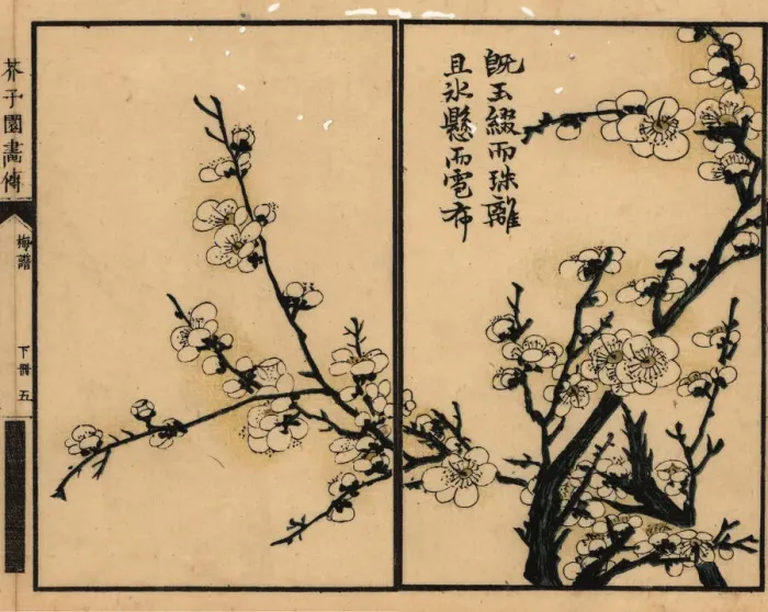 Framed Print : Branch of white plum blossom with calligraphy Framed Print : Branch of white plum blossom with calligraphy