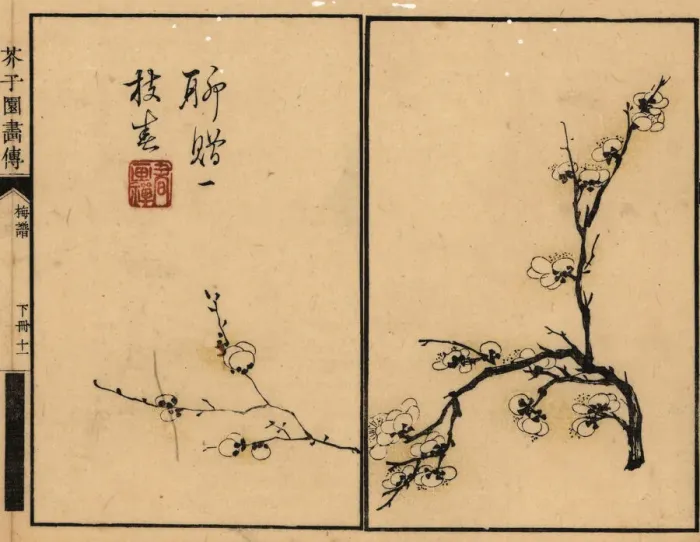 Framed Print : Branch of white plum blossom with calligraphy and seal Framed Print : Branch of white plum blossom with calligraphy and seal