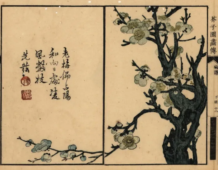 Framed Print : Branch of white plum blossom with calligraphy and seal Framed Print : Branch of white plum blossom with calligraphy and seal