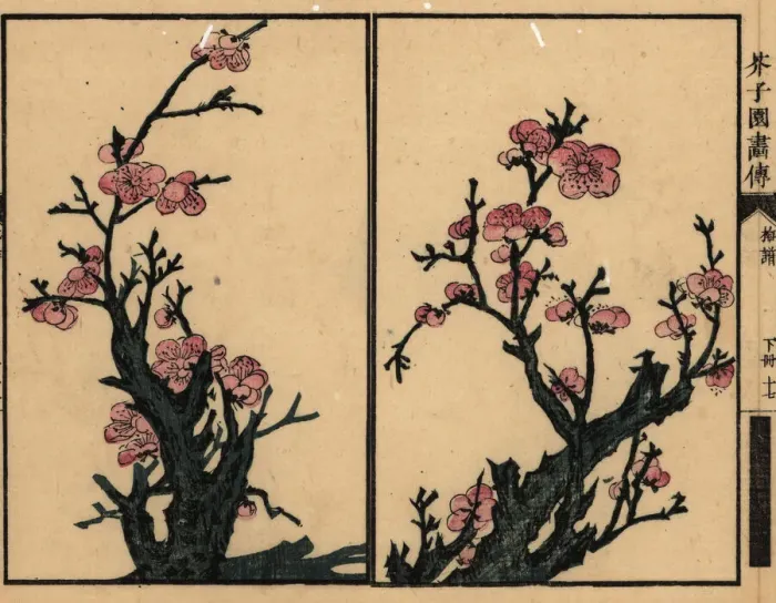Framed Print : Branches of plum blossom Framed Print : Branches of plum blossom