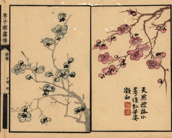 Framed Print : Branches of plum blossom with calligraphy and seal Framed Print : Branches of plum blossom with calligraphy and seal
