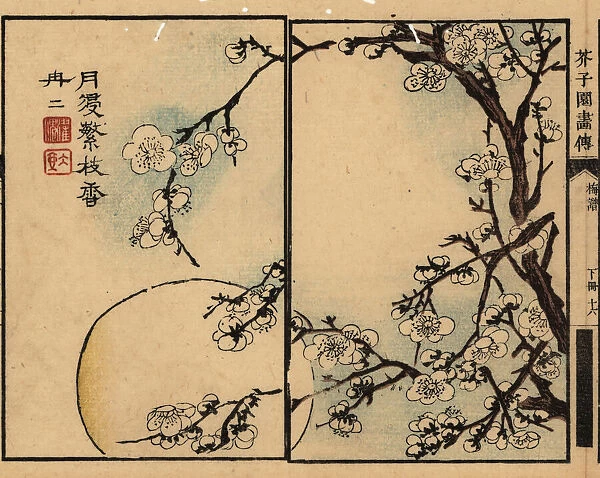 Branches of white plum blossom against a full moon