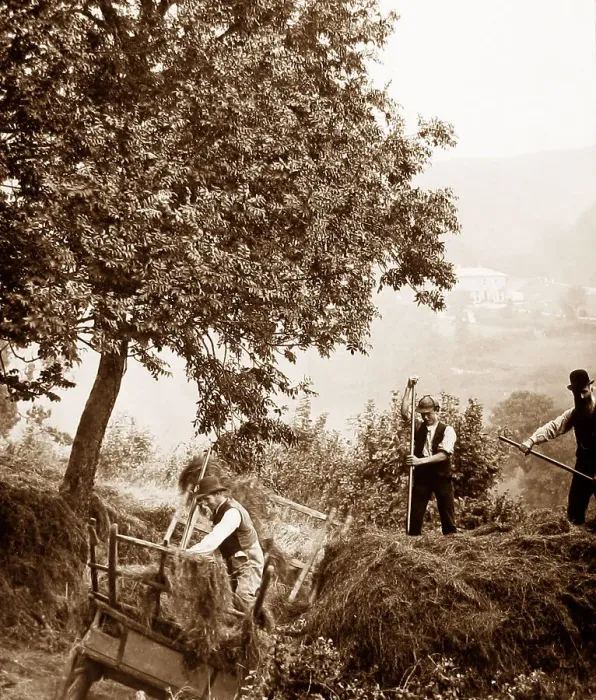 Framed Print : Branscombe probably taken in 1888 Framed Print : Branscombe probably taken in 1888