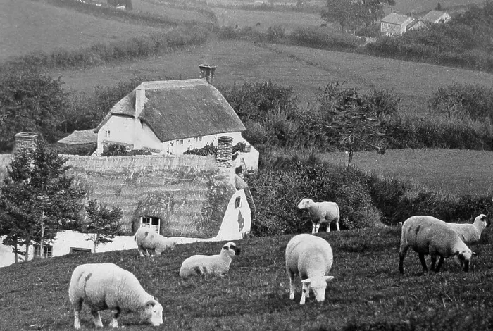 Framed Print : Branscombe probably taken in 1888 Framed Print : Branscombe probably taken in 1888