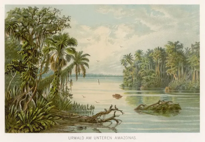 Framed Print : BRAZIL / AMAZON C1890 Framed Print : BRAZIL / AMAZON C1890