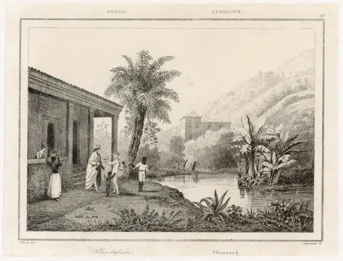 Framed Print : Brazil / Plantation Framed Print : Brazil / Plantation