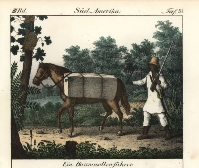 Framed Print : Brazilian farmer riding a horse loaded with Framed Print : Brazilian farmer riding a horse loaded with