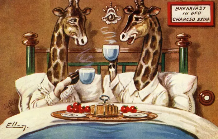 Framed Print : Breakfast in bed Framed Print : Breakfast in bed