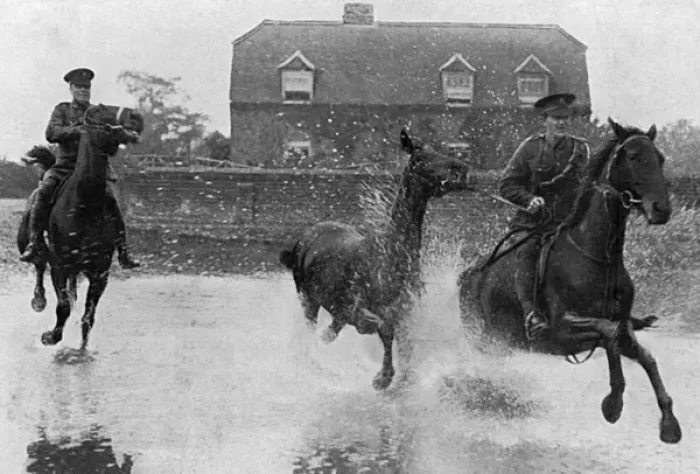 Framed Print : Breaking in colts for the Army, WW1