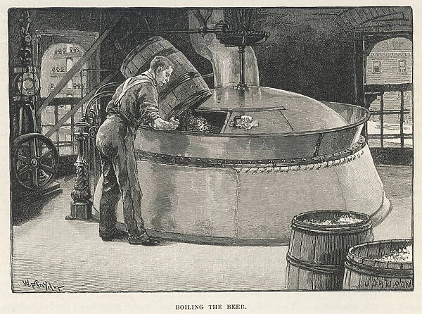 Brewery Boiling the Beer