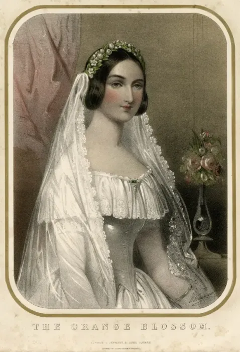 Framed Print : Bride, Orange Blossom Framed Print : Bride, Orange Blossom