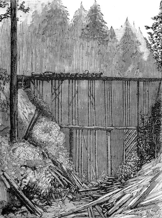 Framed Print : A Bridge in the Redwood Forest, California, 1884 Framed Print : A Bridge in the Redwood Forest, California, 1884