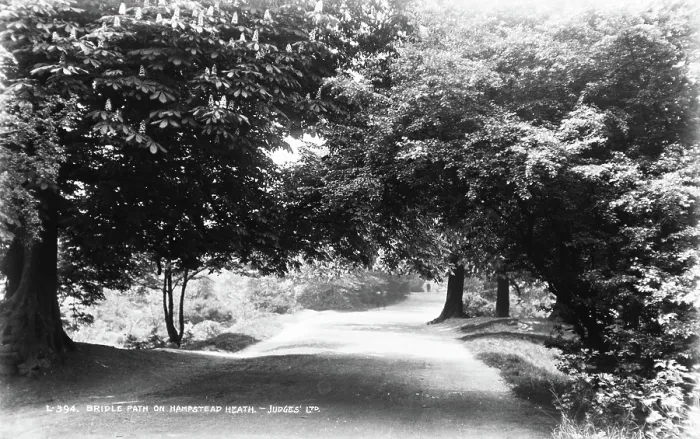 Framed Print : Bridle Path on Hampstead Heath Framed Print : Bridle Path on Hampstead Heath