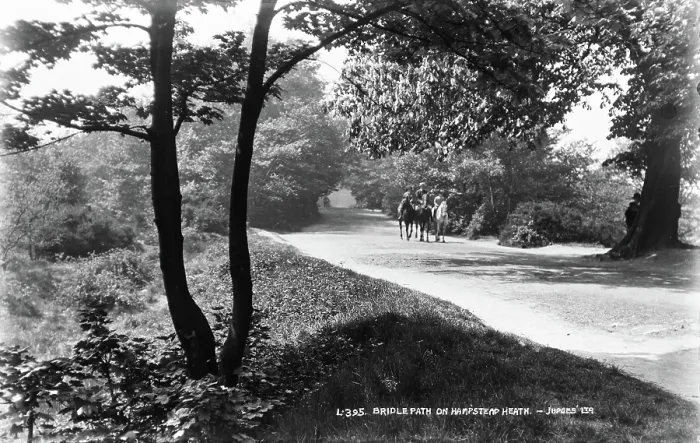 Framed Print : Bridle Path on Hampstead Heath Framed Print : Bridle Path on Hampstead Heath