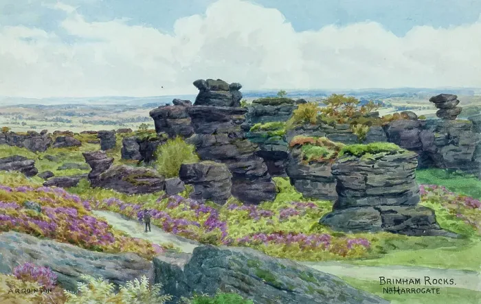 Framed Print : Brimham Rocks, near Harrogate, North Yorkshire Framed Print : Brimham Rocks, near Harrogate, North Yorkshire