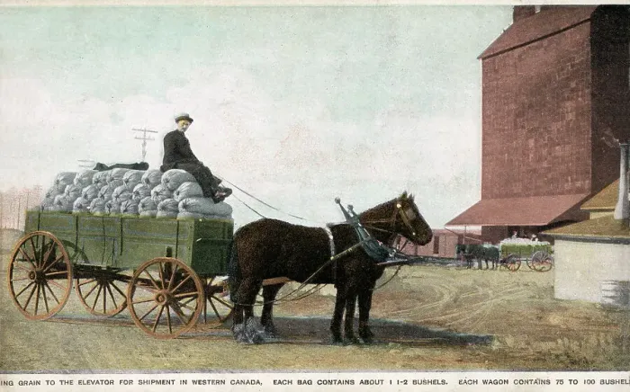 Framed Print : Bringing grain to the Elevator for shipment, Western Canada