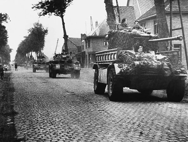 British armoured cars of the Guards Armoured Division on the tree-lined road to