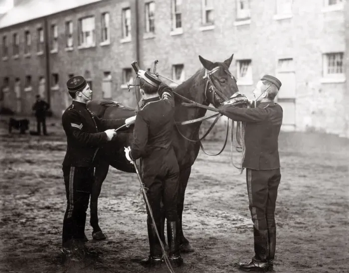 Framed Print : British army breaking young cavalry horse 3rd Hussars Framed Print : British army breaking young cavalry horse 3rd Hussars