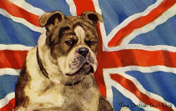 The British Bulldog