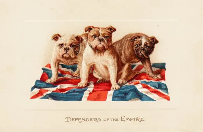 Framed Print : Three British bulldogs on a greetings card Framed Print : Three British bulldogs on a greetings card