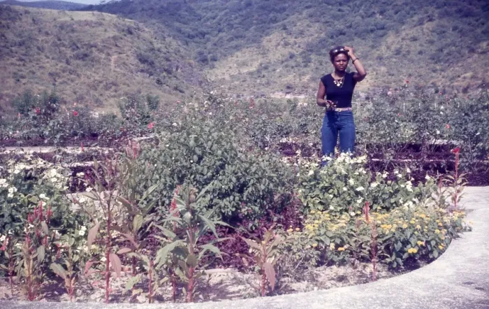 Framed Print : British Caribbean woman in the government farm in Salalah Om Framed Print : British Caribbean woman in the government farm in Salalah Om