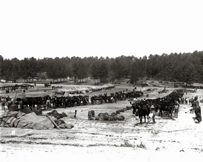 Framed Print : British cavalry camp, Western Front, WW1 Framed Print : British cavalry camp, Western Front, WW1