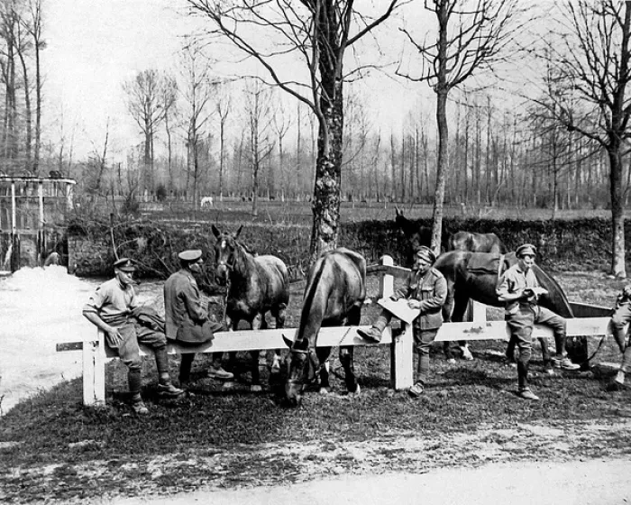 Framed Print : British cavalrymen with grazing horses, Western Front, WW1 Framed Print : British cavalrymen with grazing horses, Western Front, WW1