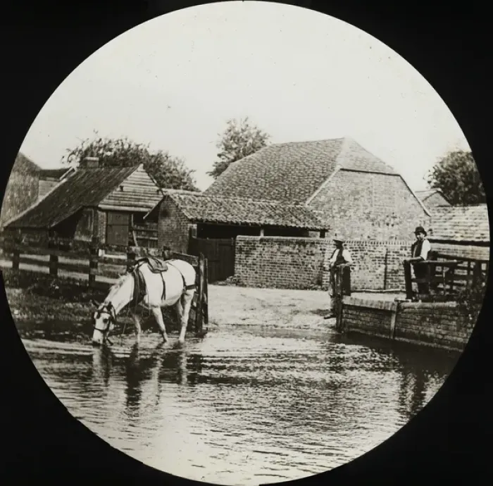 Framed Print : British Country Scene - Horse drinking from water Framed Print : British Country Scene - Horse drinking from water