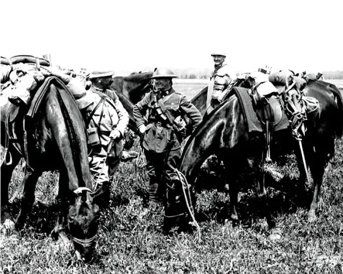 Framed Print : British and French troops grazing horses, WW1 Framed Print : British and French troops grazing horses, WW1