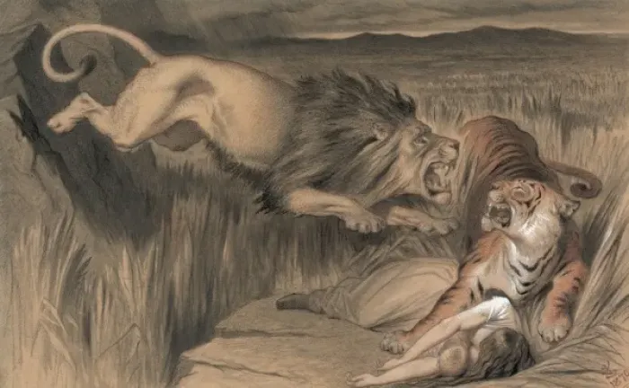 Framed Print : The British lions vengence on the Bengal tiger Framed Print : The British lions vengence on the Bengal tiger