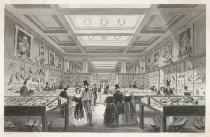 Framed Print : British Museum Zoologica Framed Print : British Museum Zoologica