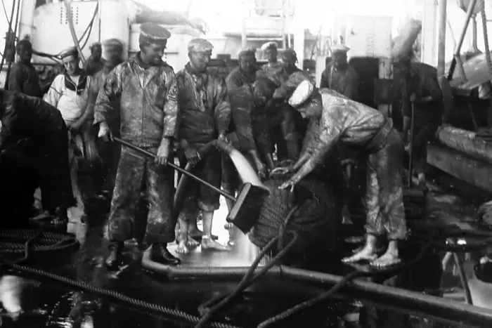 Framed Print : British Navy sailors tarring rope Framed Print : British Navy sailors tarring rope