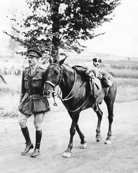 British officer with horse and dog mascot, WW1