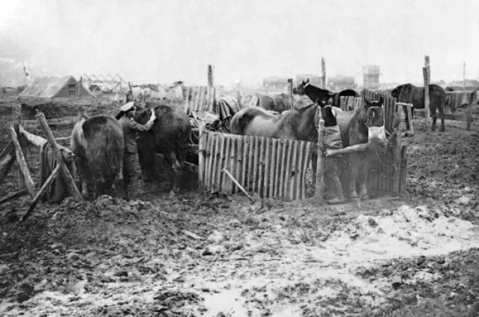 Framed Print : British service stable on Western Front, WW1 Framed Print : British service stable on Western Front, WW1