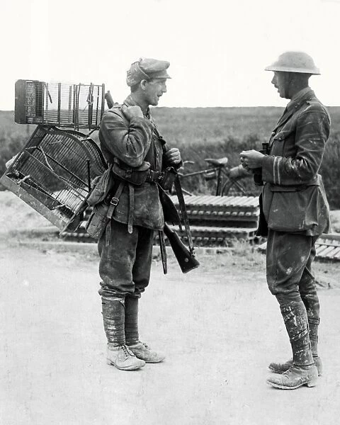 British soldier with birdcages, Western Front, WW1