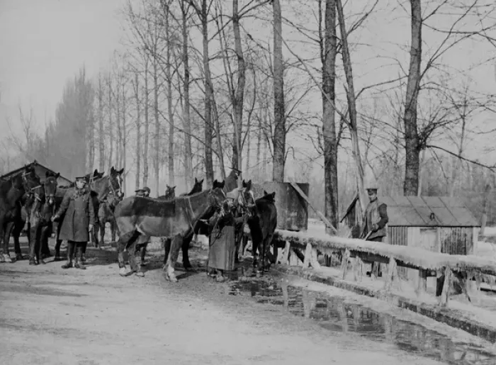 Framed Print : British soldiers with horses, Western Front, WW1 Framed Print : British soldiers with horses, Western Front, WW1