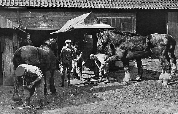 British troops shoeing horses at village near the front, WW1